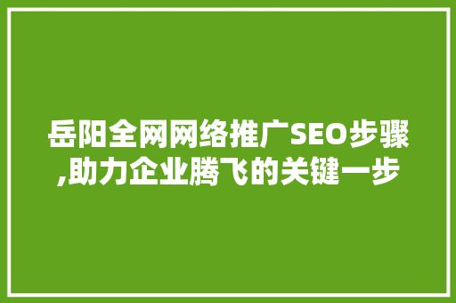 岳阳全网网络推广SEO步骤,助力企业腾飞的关键一步