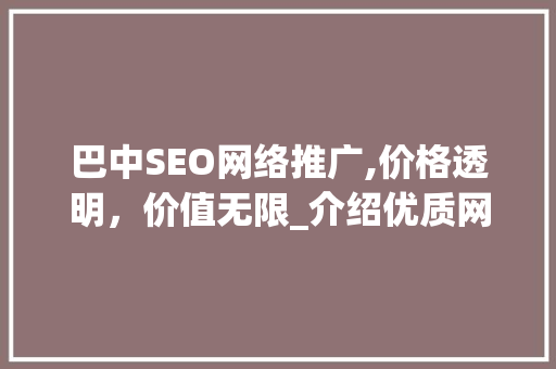 巴中SEO网络推广,价格透明，价值无限_介绍优质网络推广步骤