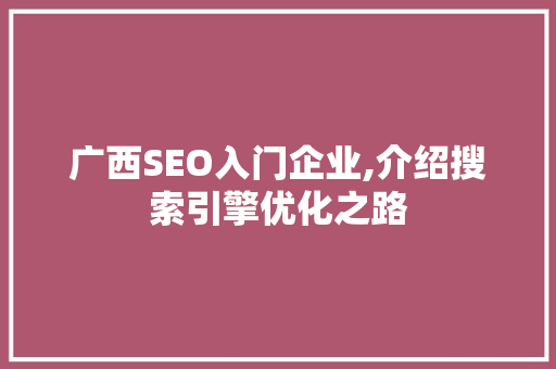 广西SEO入门企业,介绍搜索引擎优化之路