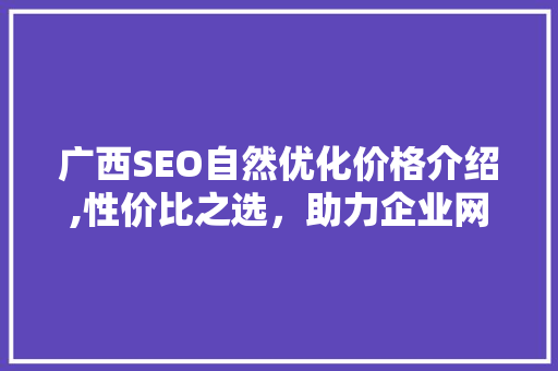 广西SEO自然优化价格介绍,性价比之选，助力企业网络营销腾飞