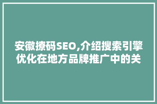 安徽撩码SEO,介绍搜索引擎优化在地方品牌推广中的关键作用