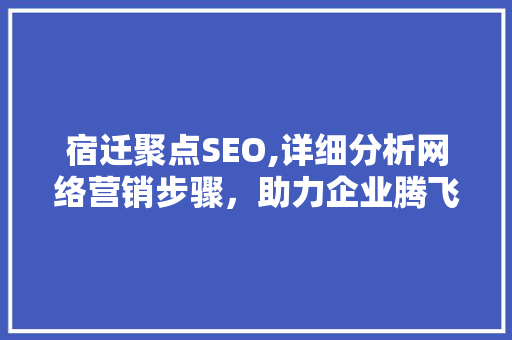 宿迁聚点SEO,详细分析网络营销步骤，助力企业腾飞
