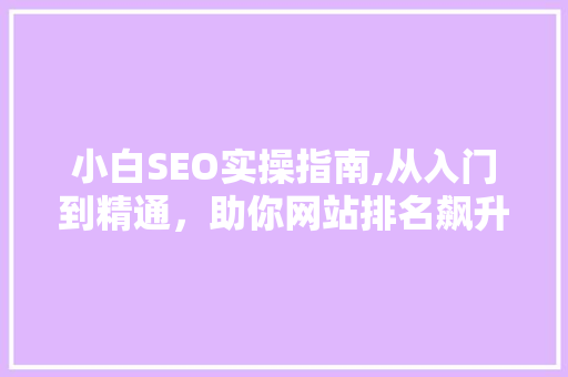 小白SEO实操指南,从入门到精通，助你网站排名飙升！