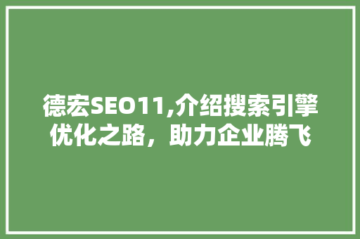 德宏SEO11,介绍搜索引擎优化之路，助力企业腾飞