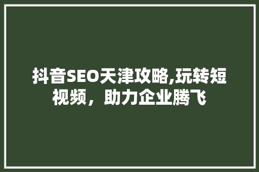 抖音SEO天津攻略,玩转短视频，助力企业腾飞