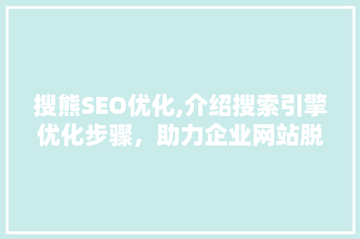 搜熊SEO优化,介绍搜索引擎优化步骤，助力企业网站脱颖而出