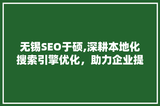 无锡SEO于硕,深耕本地化搜索引擎优化，助力企业提升网络影响力