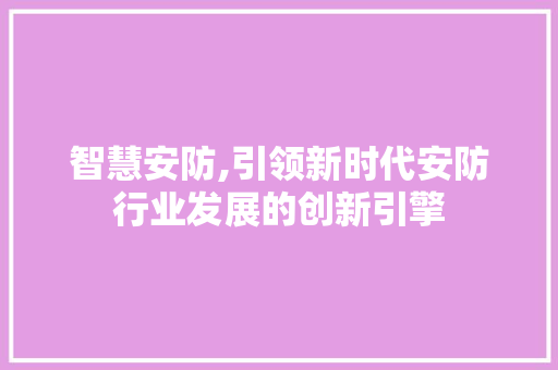 智慧安防,引领新时代安防行业发展的创新引擎