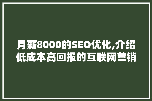 月薪8000的SEO优化,介绍低成本高回报的互联网营销之路
