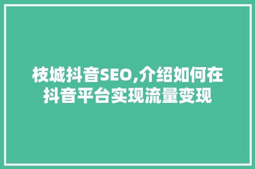 枝城抖音SEO,介绍如何在抖音平台实现流量变现