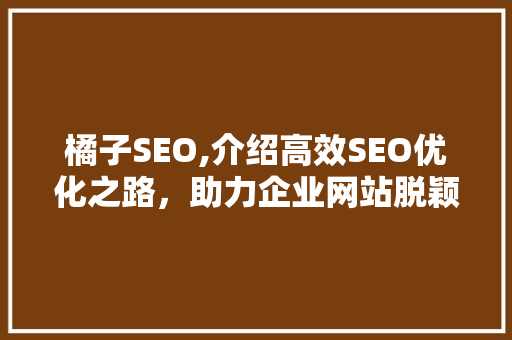 橘子SEO,介绍高效SEO优化之路，助力企业网站脱颖而出