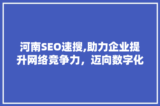 河南SEO速搜,助力企业提升网络竞争力，迈向数字化未来