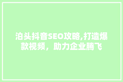 泊头抖音SEO攻略,打造爆款视频，助力企业腾飞