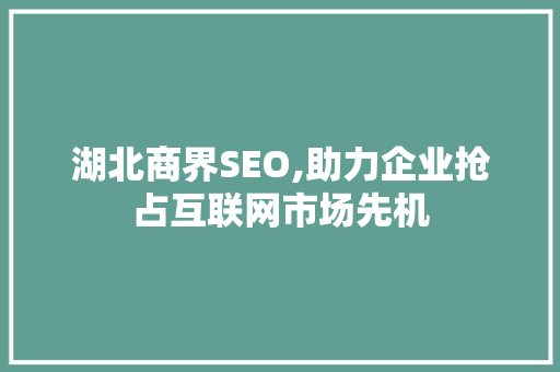 湖北商界SEO,助力企业抢占互联网市场先机