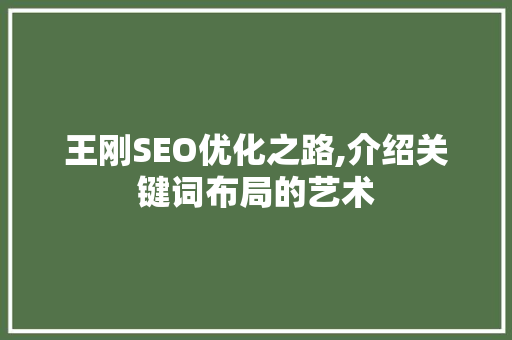 王刚SEO优化之路,介绍关键词布局的艺术