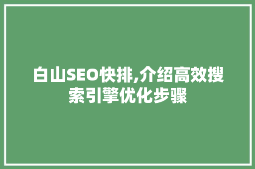 白山SEO快排,介绍高效搜索引擎优化步骤
