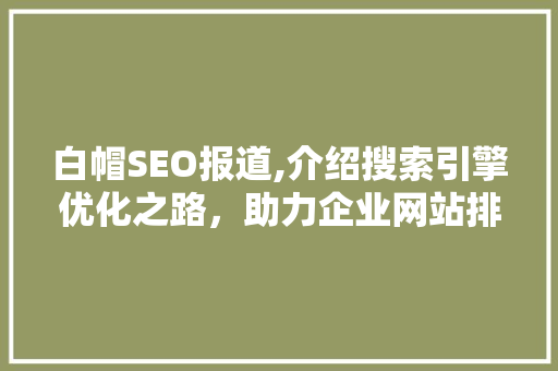 白帽SEO报道,介绍搜索引擎优化之路，助力企业网站排名攀升