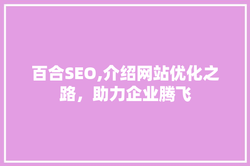 百合SEO,介绍网站优化之路，助力企业腾飞