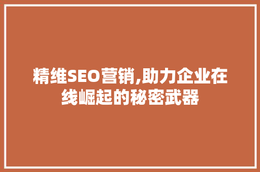 精维SEO营销,助力企业在线崛起的秘密武器