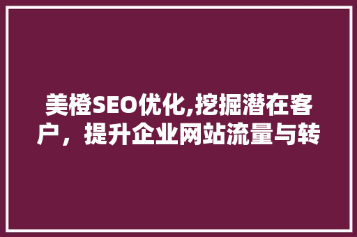 美橙SEO优化,挖掘潜在客户，提升企业网站流量与转化率