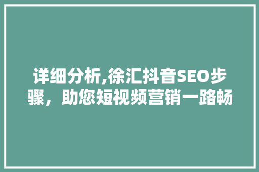 详细分析,徐汇抖音SEO步骤，助您短视频营销一路畅通