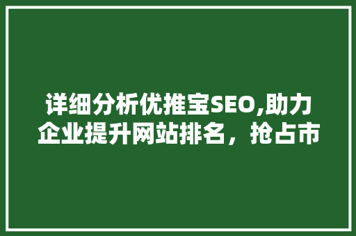 详细分析优推宝SEO,助力企业提升网站排名，抢占市场先机