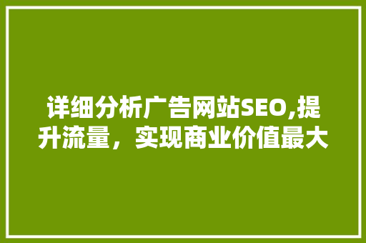 详细分析广告网站SEO,提升流量，实现商业价值最大化