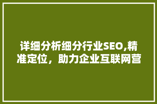 详细分析细分行业SEO,精准定位，助力企业互联网营销