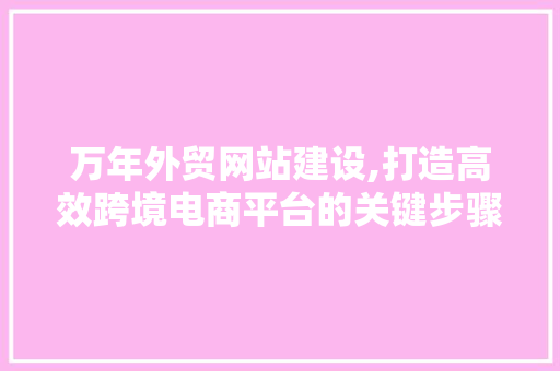 万年外贸网站建设,打造高效跨境电商平台的关键步骤