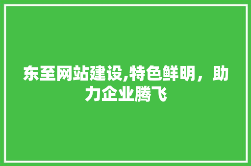 东至网站建设,特色鲜明，助力企业腾飞