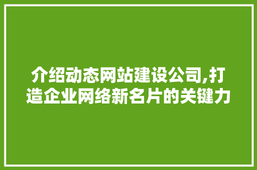 介绍动态网站建设公司,打造企业网络新名片的关键力量