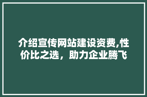 介绍宣传网站建设资费,性价比之选，助力企业腾飞