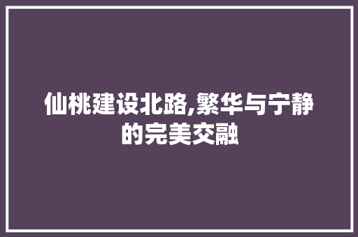 仙桃建设北路,繁华与宁静的完美交融