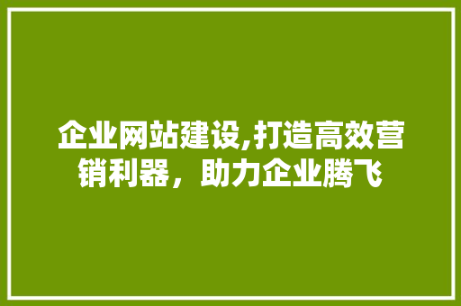 企业网站建设,打造高效营销利器，助力企业腾飞