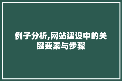 例子分析,网站建设中的关键要素与步骤