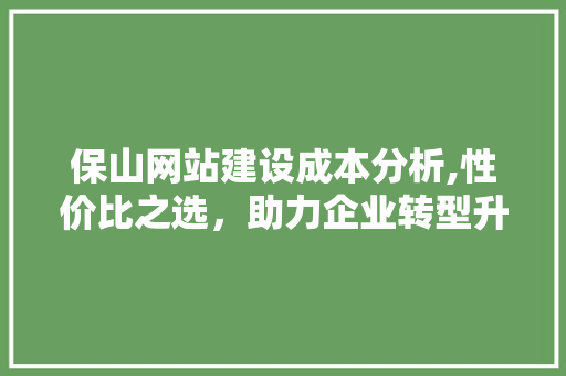 保山网站建设成本分析,性价比之选，助力企业转型升级