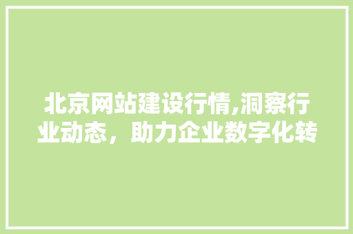 北京网站建设行情,洞察行业动态，助力企业数字化转型