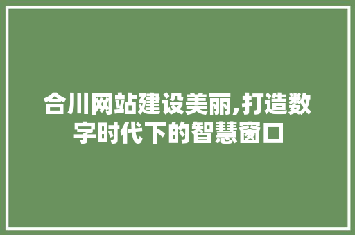 合川网站建设美丽,打造数字时代下的智慧窗口