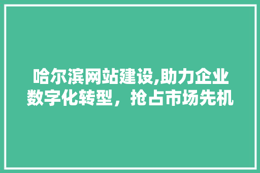 哈尔滨网站建设,助力企业数字化转型，抢占市场先机