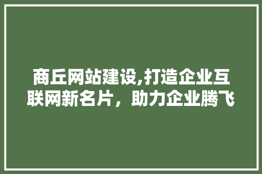 商丘网站建设,打造企业互联网新名片，助力企业腾飞