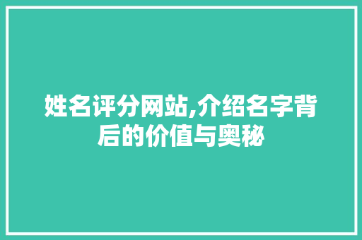 姓名评分网站,介绍名字背后的价值与奥秘