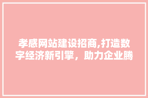 孝感网站建设招商,打造数字经济新引擎，助力企业腾飞