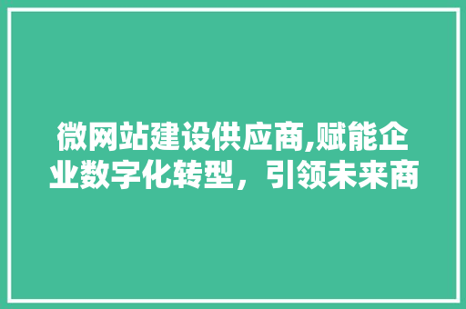 微网站建设供应商,赋能企业数字化转型，引领未来商业新风尚