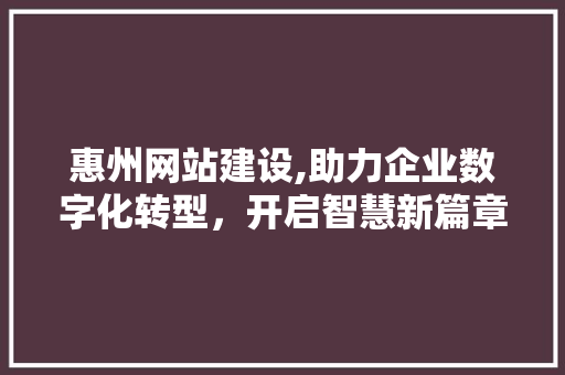 惠州网站建设,助力企业数字化转型，开启智慧新篇章