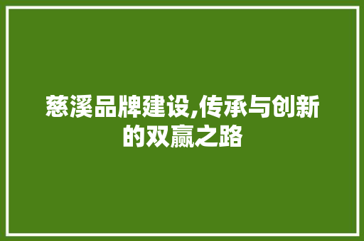 慈溪品牌建设,传承与创新的双赢之路