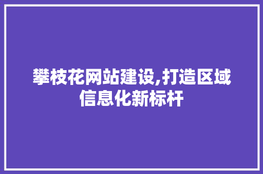 攀枝花网站建设,打造区域信息化新标杆