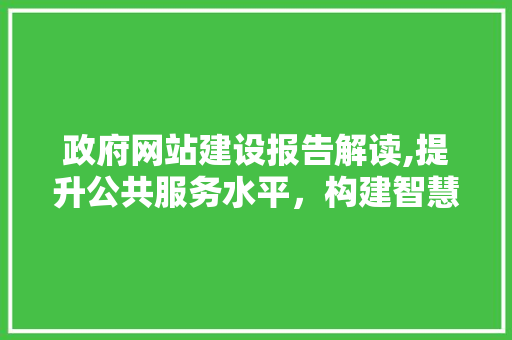 政府网站建设报告解读,提升公共服务水平，构建智慧政府新格局