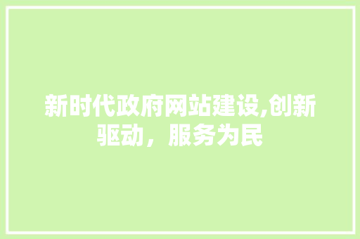 新时代政府网站建设,创新驱动，服务为民