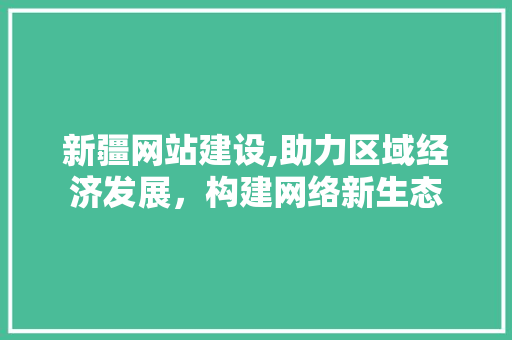 新疆网站建设,助力区域经济发展，构建网络新生态