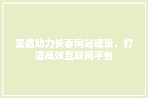 星宿助力长春网站建设，打造高效互联网平台